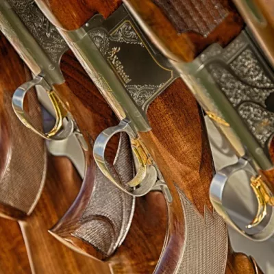 Bosworth Guns